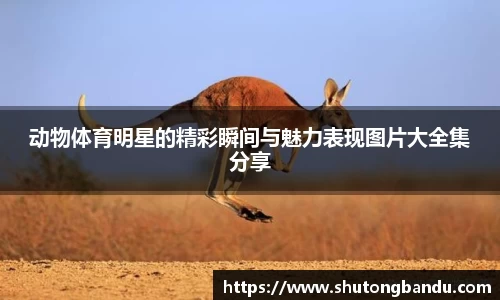 江南体育官方平台