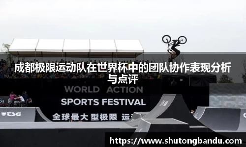 成都极限运动队在世界杯中的团队协作表现分析与点评